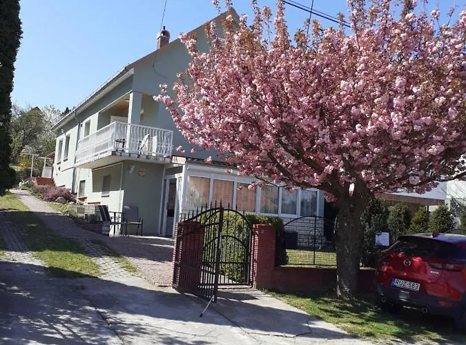 Apartament Xxl