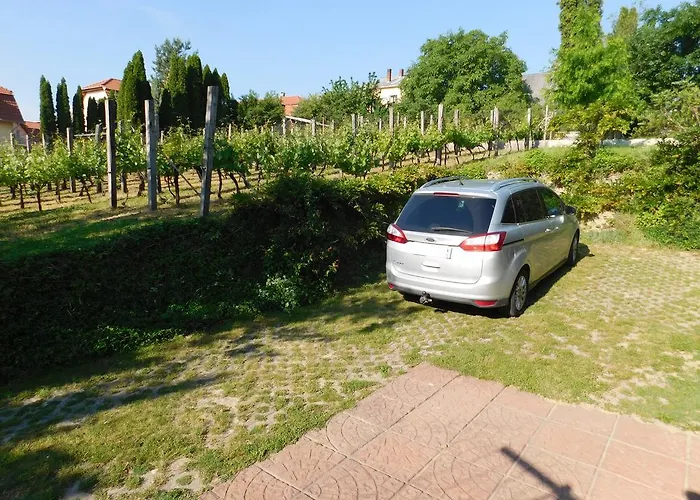 Apartament Xxl